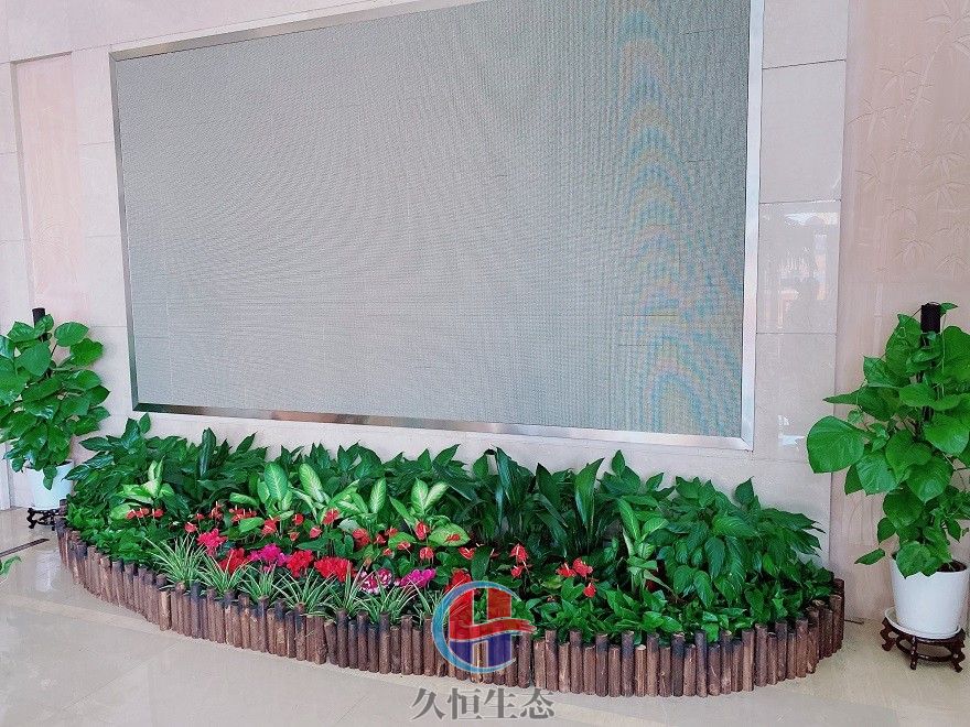 桐乡企业大厅显示屏组合花卉绿植摆放